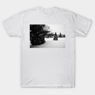 Snow Fall in Black and White T-Shirt